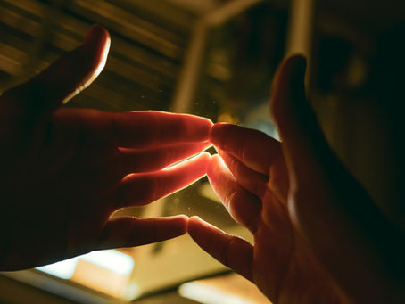 La grande chaîne humaine de la vie