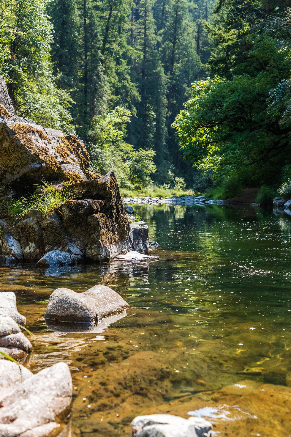 Mind of Nature | Online Meditation Oceania