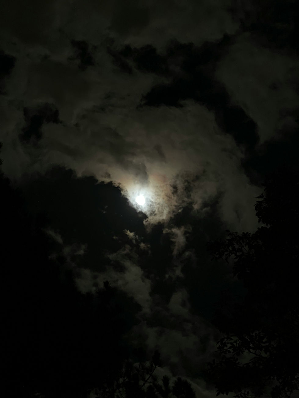 Image by JD MOE