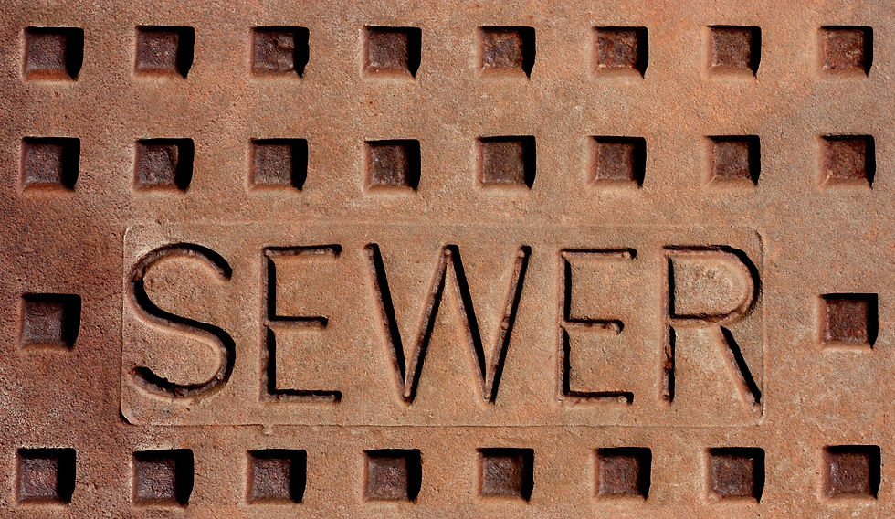 White Glove Plumbing & Restoration Sewage Disposal