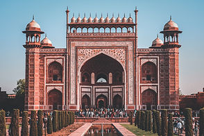 Image by Preetam Priyabrat
