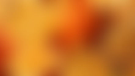It's Orange Time
