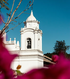 Image by Alex McCarthy