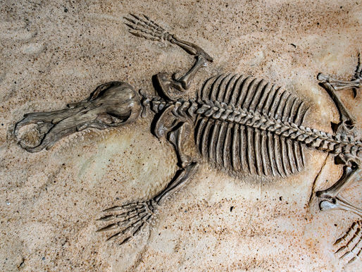 Descubren fósiles de 75,000 años en cueva noruega con apoyo de tecnología mexicana 