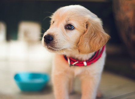 Image by Berkay Gumustekin