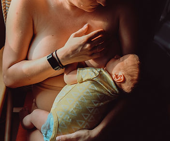 Image by Ayla Meinberg