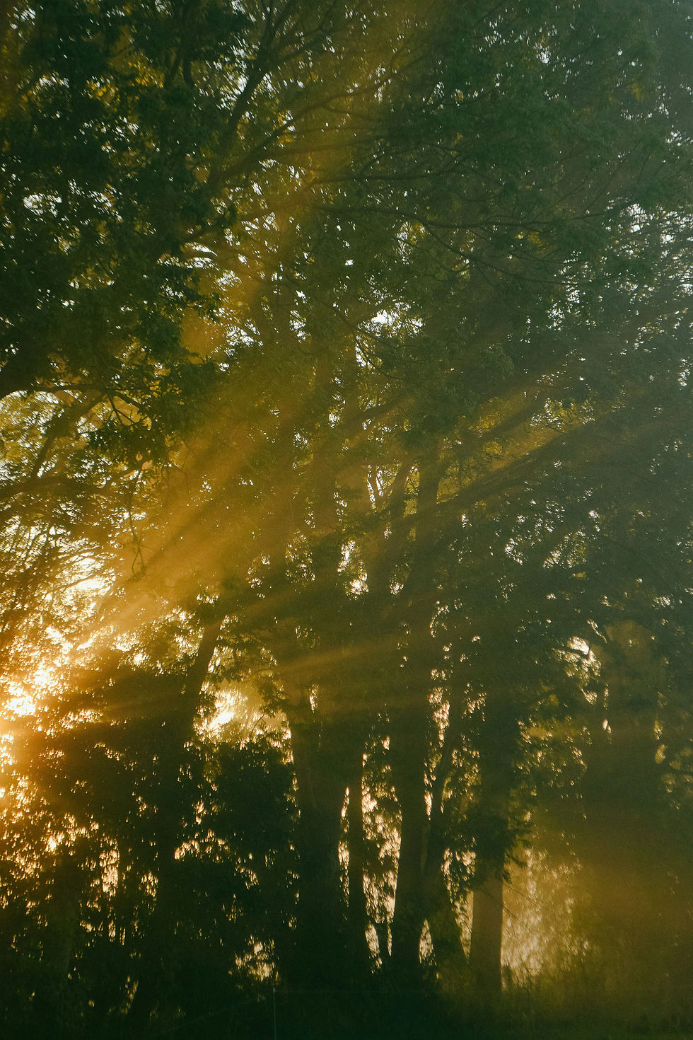patronen doorbreken, jouw licht stralen