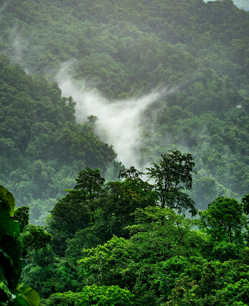 Image by Boudhayan Bardhan