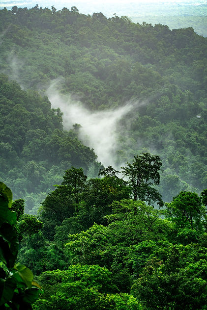 Image by Boudhayan Bardhan