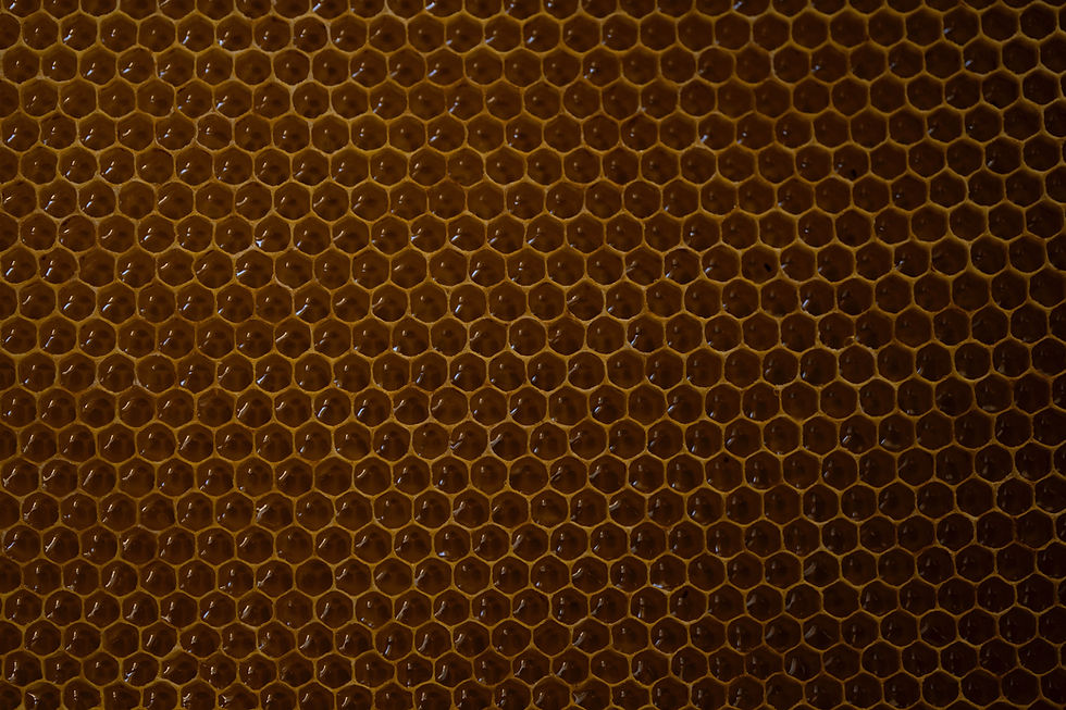 Image by Victoria Druc