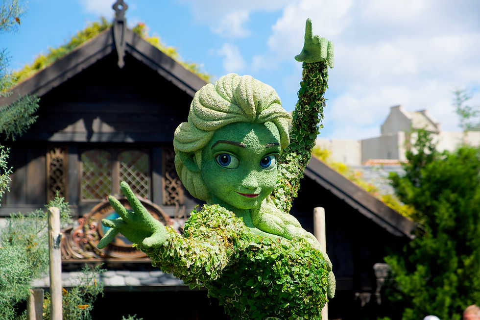 Elsa