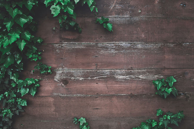 Image by Tim Mossholder