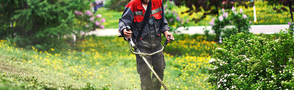 Image de Maxim Tolchinskiy