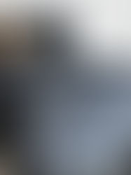 Software Development