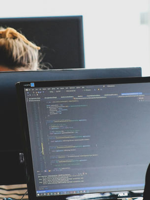 Software Development