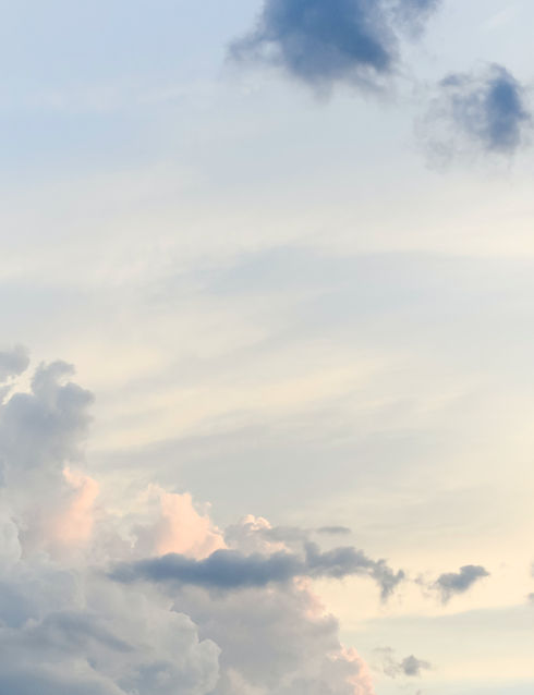 Image by Davies Designs Studio