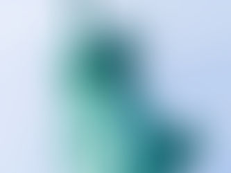 June 17, 1885 / Le 17 juin 1885