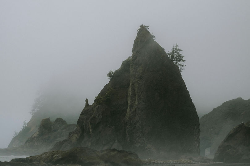 Image by Jasper Gribble