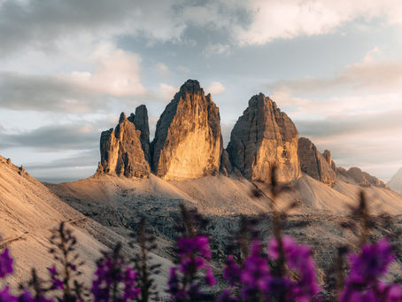 Foreign-Sourced Income - Tax Treatment Update