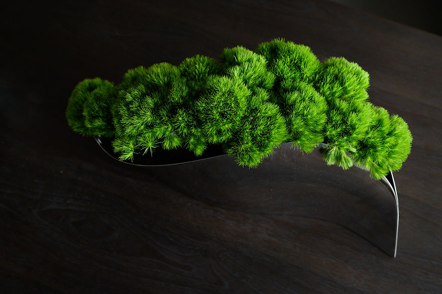Image by Xie Yujie Nick