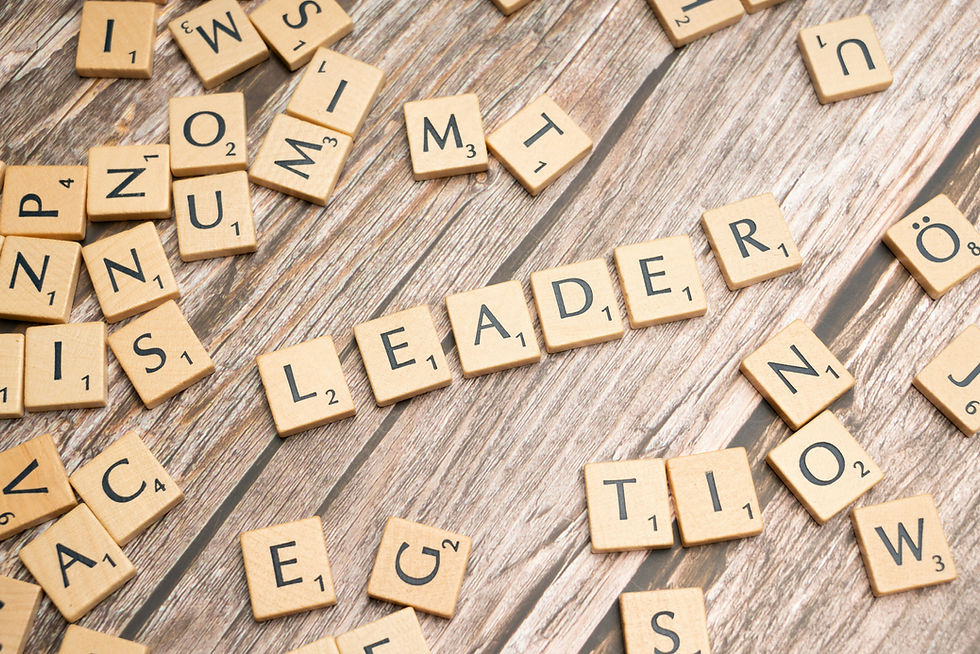 Leadership Game