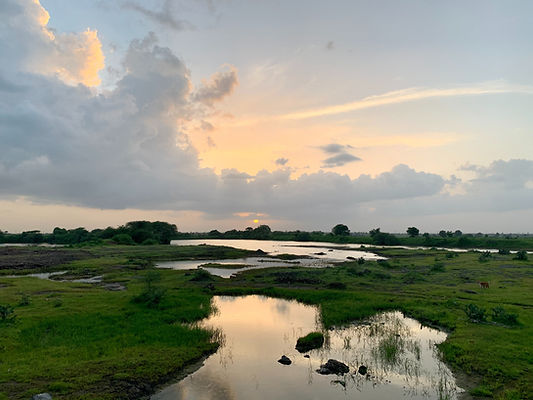 Image by Dushyant Chaturvedi