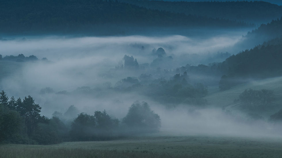 Image by Joanna Swiercz