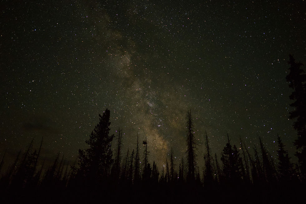 Image by Troy Olson