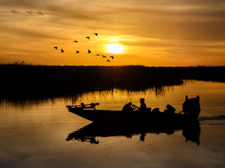 Florida Everglades