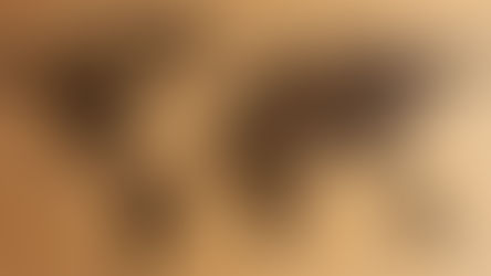 Are You Getting the Right Non-US Exposure?