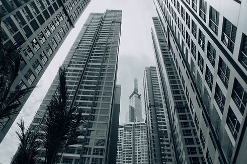 Image by Tony Pham