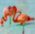 Image by Lex Melony