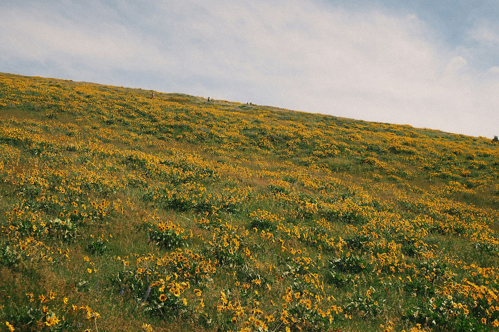 West Virginia: Spring Retreat (New Location)