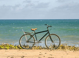 Image by Ian Talmacs