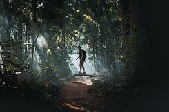 Image by Sandro Antonietti
