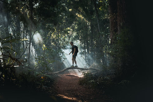 Image by Sandro Antonietti