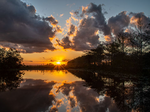 3 days in the wilderness of the Everglades