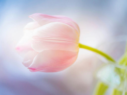 Hüvelyi fertÅ‘zés, folyás gyermekkorban: mi számÃt normálisnak, és mikor kell orvoshoz fordulni?