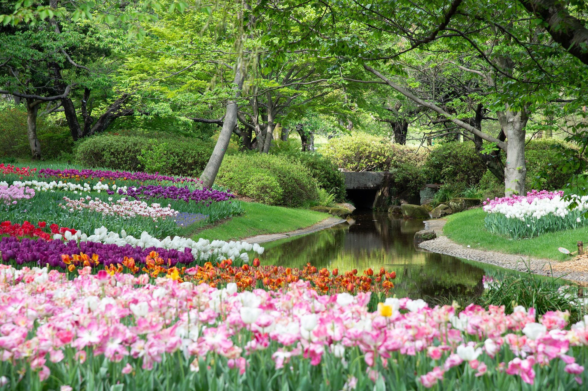 Englischer Garten