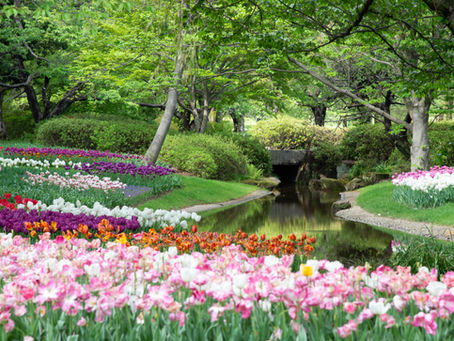 Primavera, dieci consigli per viverla al meglio.