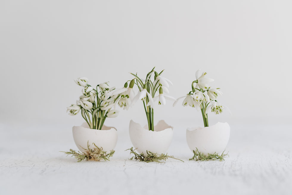 Image by Anita Austvika