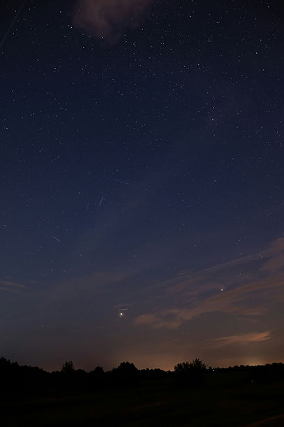 Image by Marina Reich