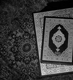 Image by AmirHadi Manavi