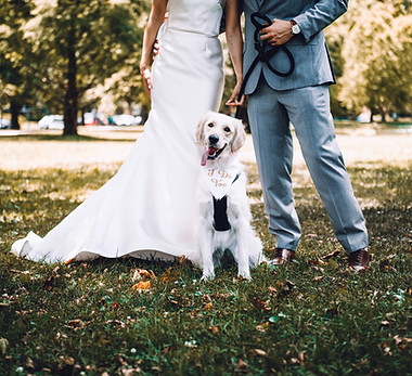 Image by Vasylyna Kucherepa