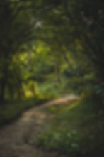 Image by Muhammad Ma'ruf