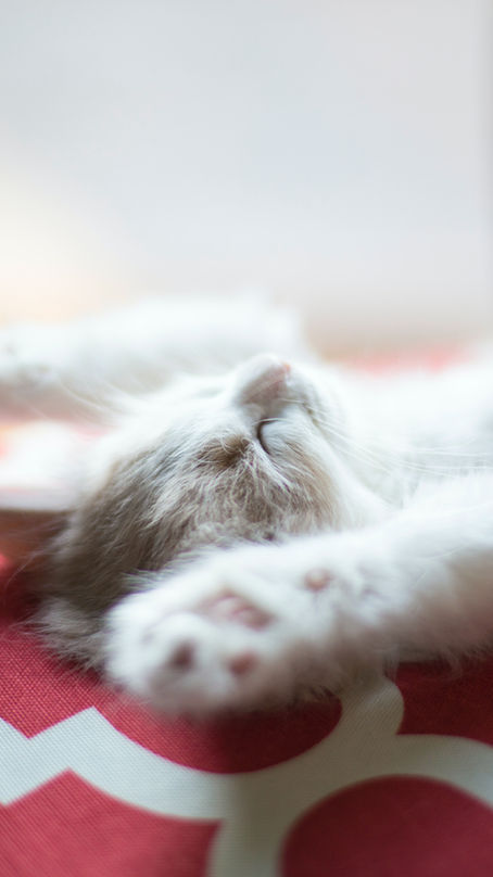 Unlocking Deep Rest: Natural Sleep Remedies - part I