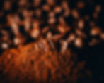Image by Tamas Pap