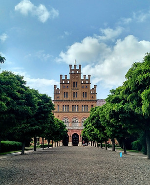 Image by Vitaliy