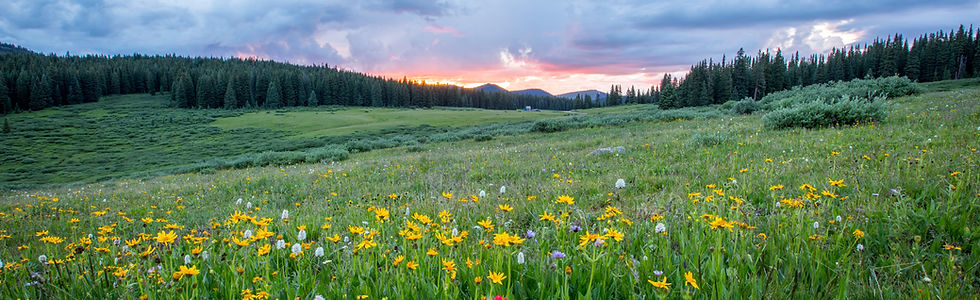 Image by Joel Holland