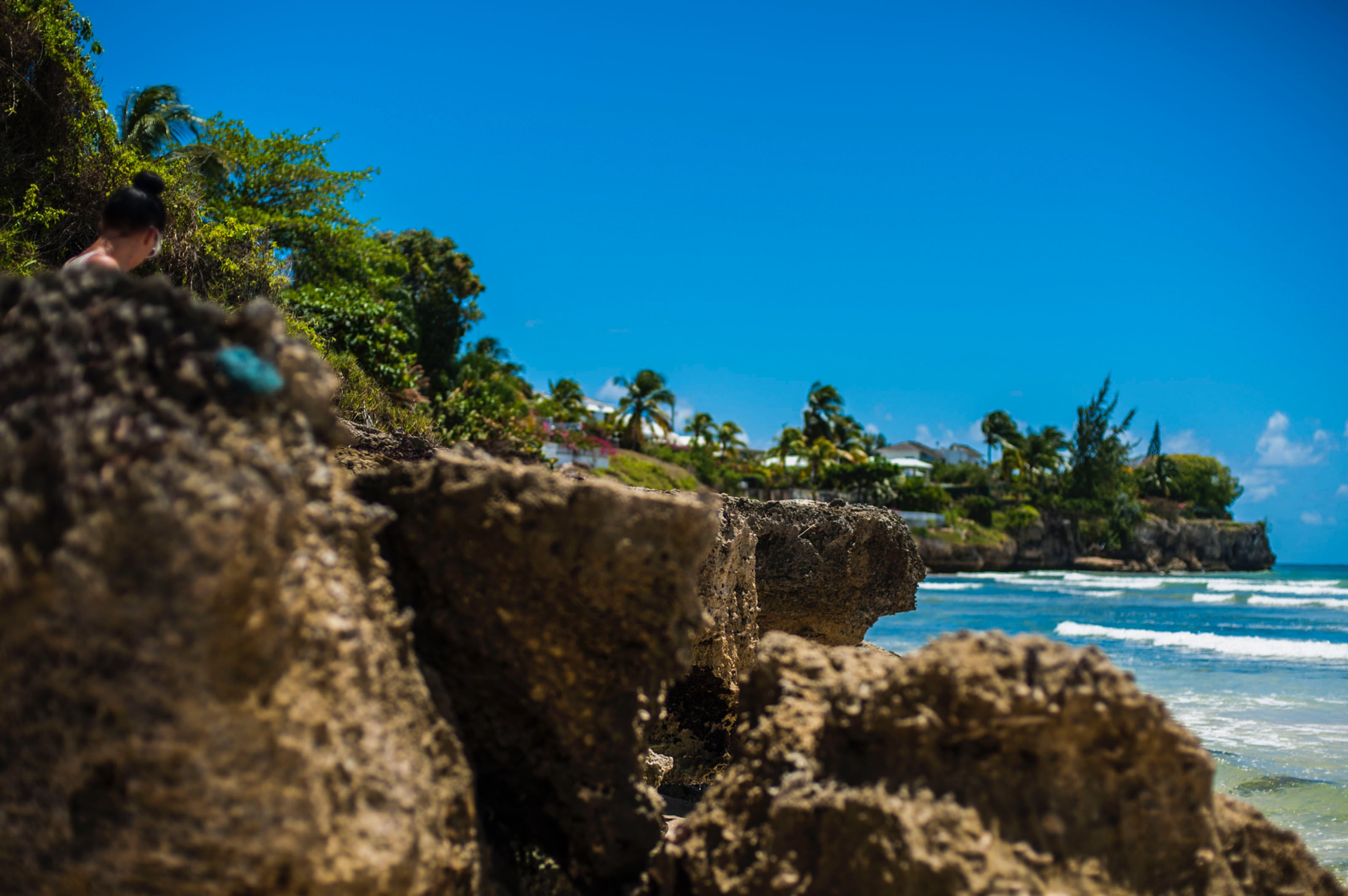 Barbados Crop Over 2025